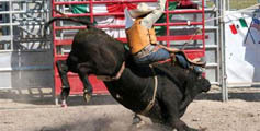 rodeo